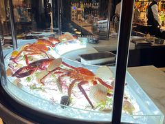 -壳里西餐厅Coquille Seafood Bistro(蒙自路店)