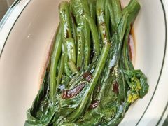 销魂菜心-文通冰室(东方宝泰店)