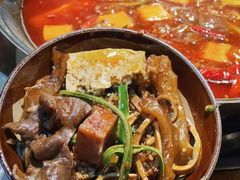 -阳阳老火锅(小南门店)