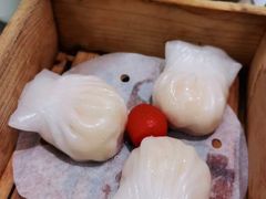 水晶虾饺-茶港·点心·啫啫煲(范湖万达广场店)