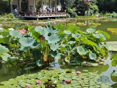 -国家植物园南园