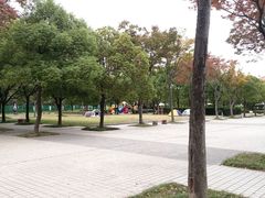 -新江湾城公园