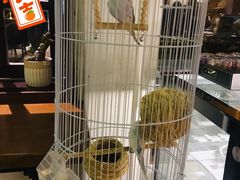 -ChitChat奇洽·Bistro(黎黄陂路店)