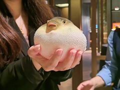 -肆月河豚·淮扬菜·湘菜(华天店)