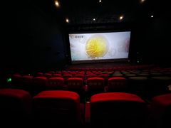 -万达影城(锦华万达广场IMAX店)