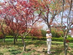 -龙口南山旅游景区