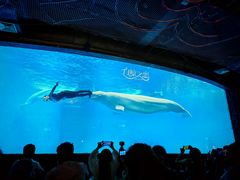 -海合安成都极地海洋公园