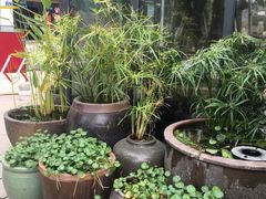 -新悦·霞浦海鲜生(上下杭店)