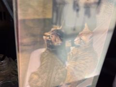 -逃脱反斗城沉浸剧情密室(北京路店)