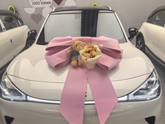 -上海浦东smart汽车全功能店(金桥店)