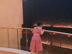-新加坡丽思卡尔顿美年酒店