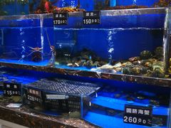 水产区-河马鲜生海鲜超市(风荷园店)
