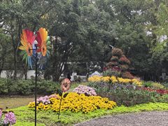 -汇龙潭