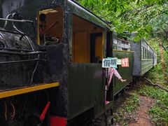 -五营红松林海景区