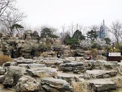 -莲花池公园