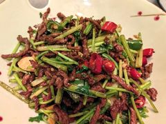 -云·酷 Atmosphere(国贸大酒店)