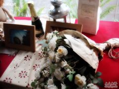 -Babycat私家御饼屋(龙头路一店)