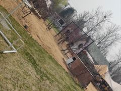 -TIPPI营地 房车主题·露营烧烤团建轰趴(天安假日店)