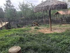 -云南野生动物园