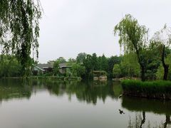 -银树楼(紫玉山庄东区店)