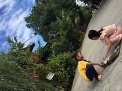 -西双版纳傣族园