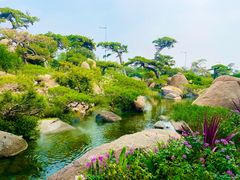 -罗红摄影艺术馆