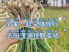-阳澄湖半岛旅游度假区