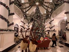 -LONG BAR 廊吧(外滩华尔道夫酒店)