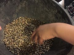 -巴厘岛黄金金兔咖啡工厂