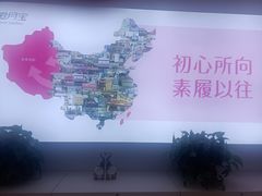 -爱月宝月嫂·育儿嫂