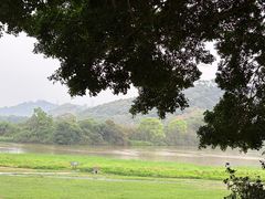 -风云岭森林公园