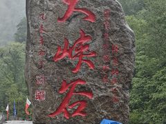 -凤凰山国家森林公园