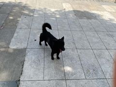 -MAX伯爵趣味互动密室逃脱(大坪D馆店)