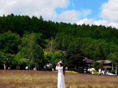 -富田农场
