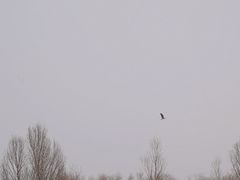 -野鸭湖国家湿地公园