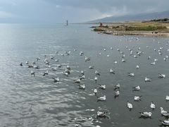 -青海湖国家重点风景名胜区