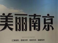 -金陵后厨·南京菜(新街口秣陵路店)