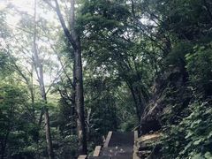 -洛阳白云山景区