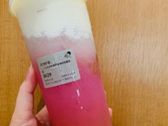 多肉粉荔-喜茶(深圳东门1234店)