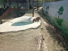 -栾川竹海野生动物园