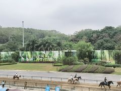 -深圳野生动物园