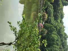 悦华酒店-厦门悦华酒店