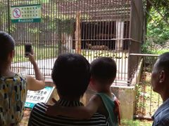 -广东茂名森林公园