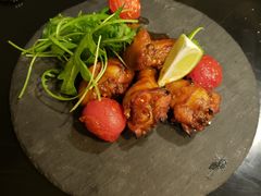 -百好乐宠物友好餐厅(朝外大街店)