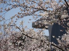 -龙美术馆(西岸馆)