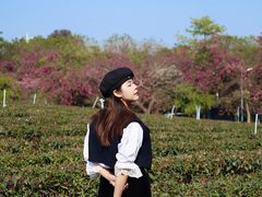 -美的鹭湖森林度假区