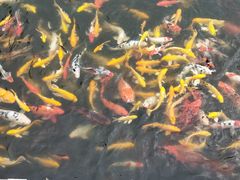 -南戴河国际娱乐中心