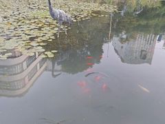 -苏州河梦清园环保主题公园