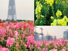 -海心沙亚运公园