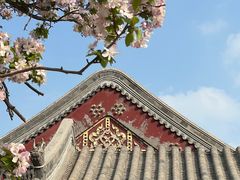 -天津大悲禅院